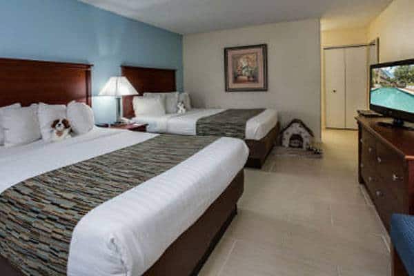 Baymont Inn & Suites in Gainesville, FL