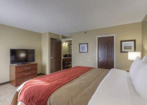 Comfort Inn & Suites in Lexington, KY