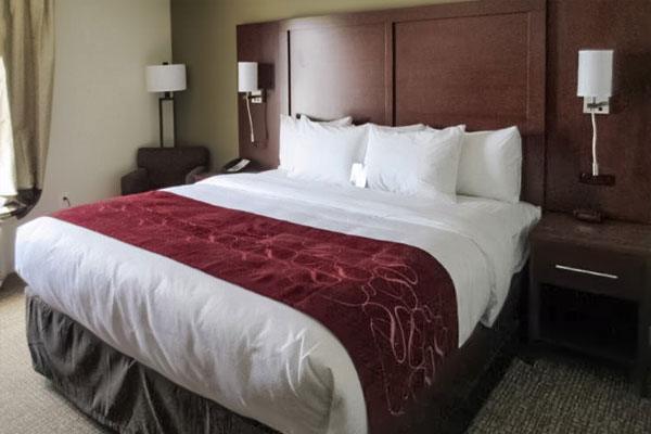 Comfort Inn and Suites in Macon, GA